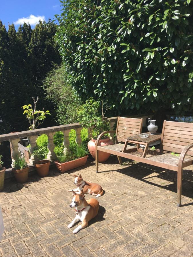 Wynberg House Bed & Breakfast Swansea Bagian luar foto